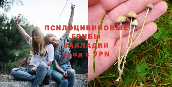 ГАЛЛЮЦИНОГЕННЫЕ ГРИБЫ Нефтекумск