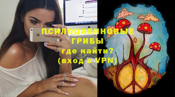 ГАЛЛЮЦИНОГЕННЫЕ ГРИБЫ Нефтекумск