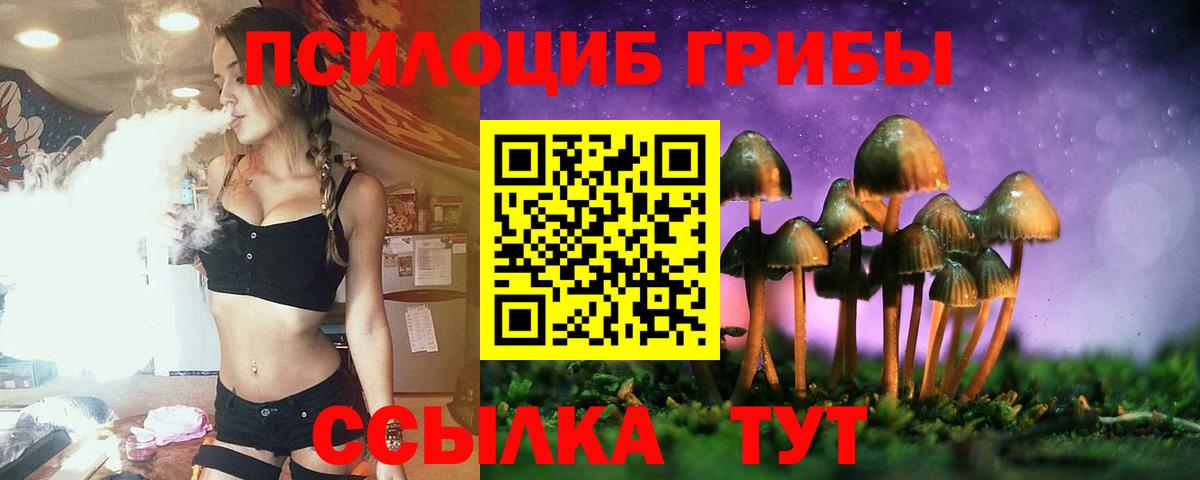Галлюциногенные грибы Magic Shrooms  купить наркотики сайты  Тюмень  Галлюциногенные грибы Magic Shrooms  Вход с VPN 