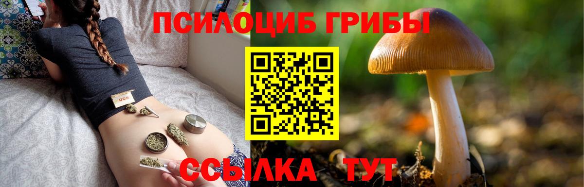 Псилоцибиновые грибы Psilocybe  Псилоцибиновые грибы Psilocybe  Тюмень 